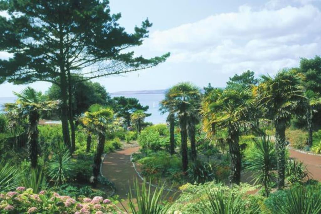 New Ground Floor Apartment, 4 Mins Walk To Beach Bournemouth Eksteriør bilde